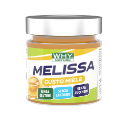 why nature WHY Nature MELISSA SPALMABILE gusto Miele 225g